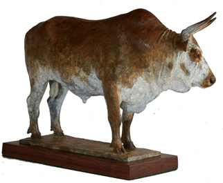 Nguni Bull bronze sculpture